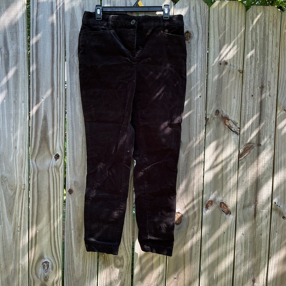 Loft Black Velvet Pants